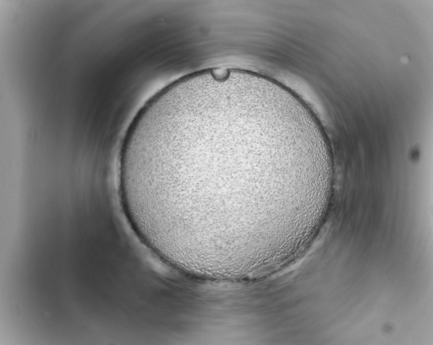 X0000102401040200808151938