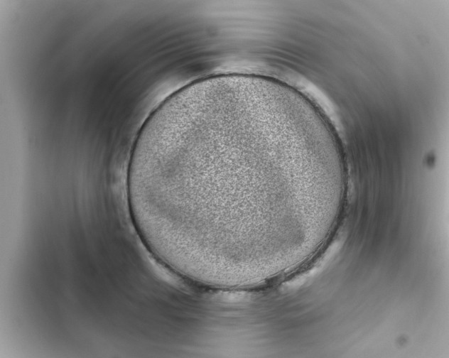 X0000102401041200808151938