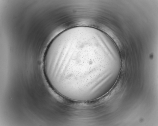 X0000102401042200808151938