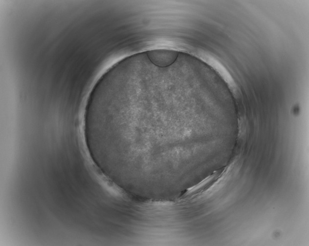 X0000102401043200808151938