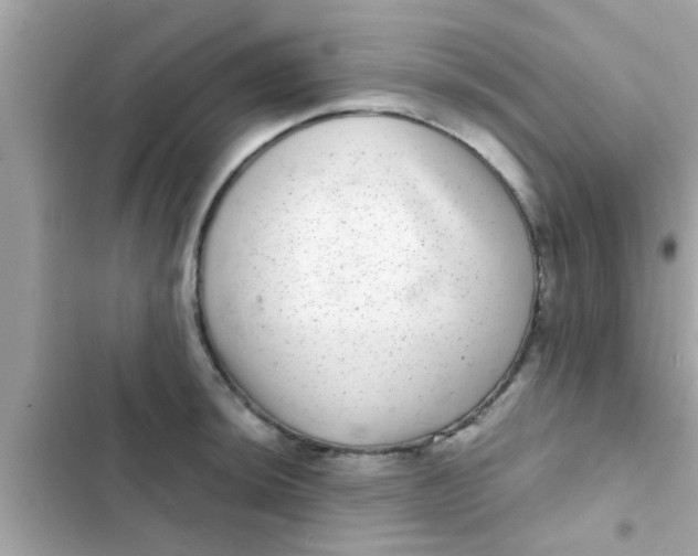 X0000102401044200808151938