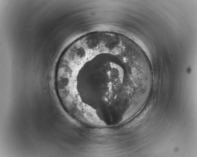 X0000102401045200808151938