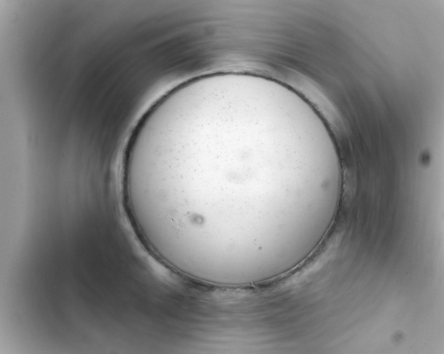 X0000102401046200808151938