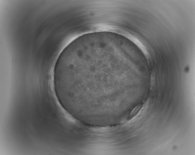 X0000102401047200808151938