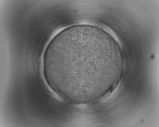 X0000102401048200808151938