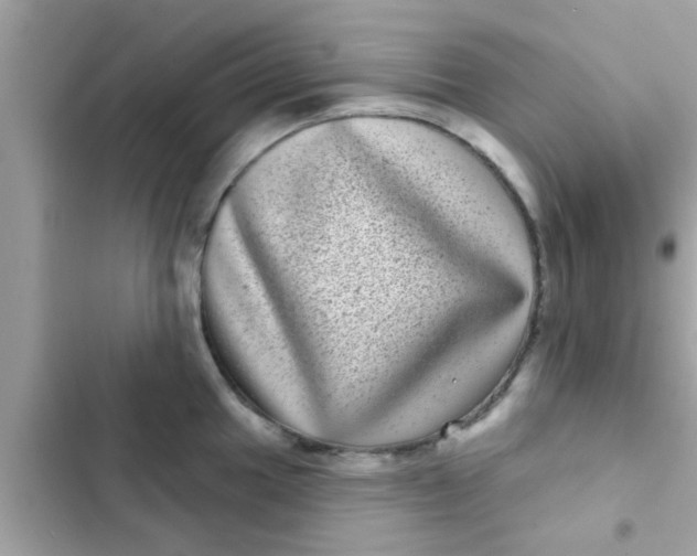 X0000102401049200808151938