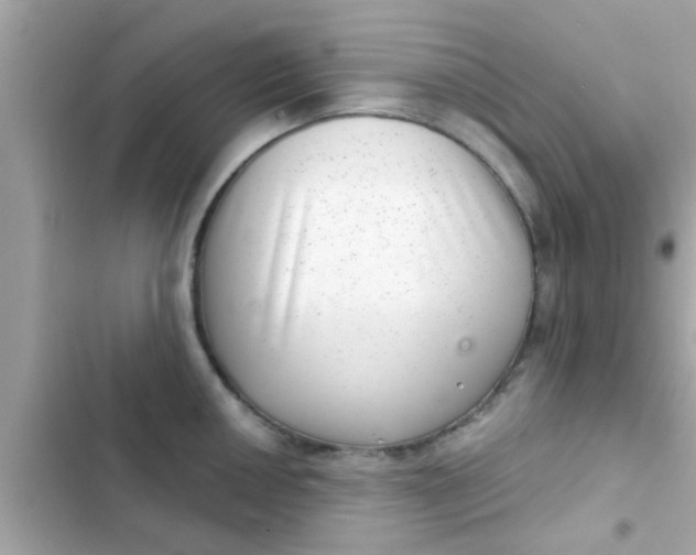 X0000102401050200808151939