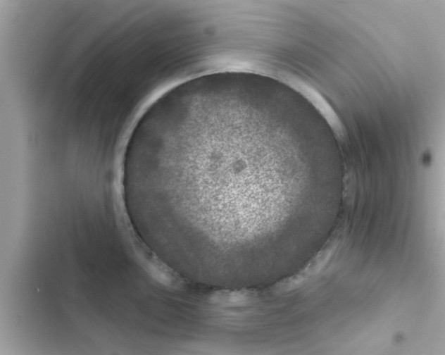 X0000102401051200808151939