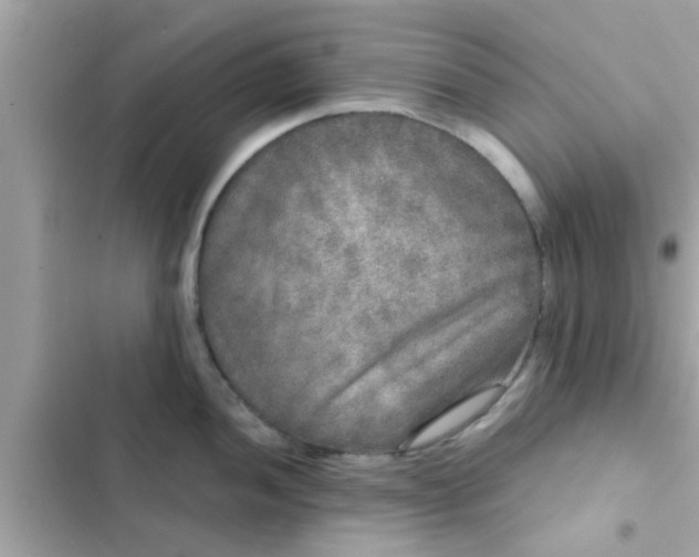 X0000102401052200808151939