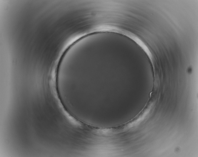 X0000102401053200808151939