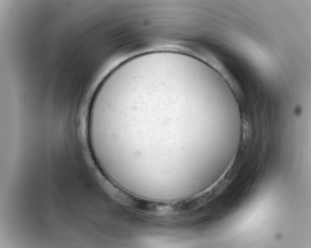 X0000102401054200808151939