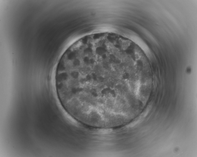 X0000102401055200808151939