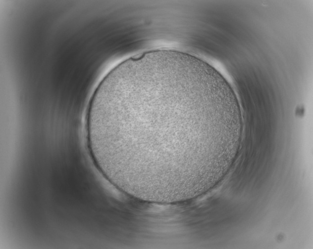 X0000102401056200808151939