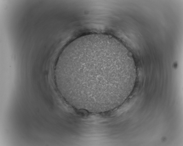 X0000102401057200808151938