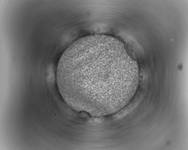 X0000102401058200808151938