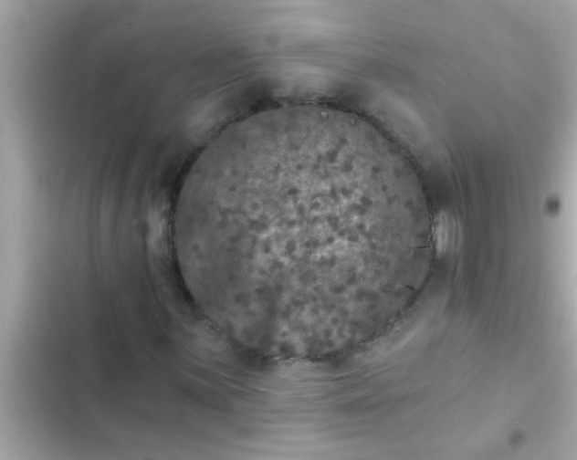 X0000102401059200808151938