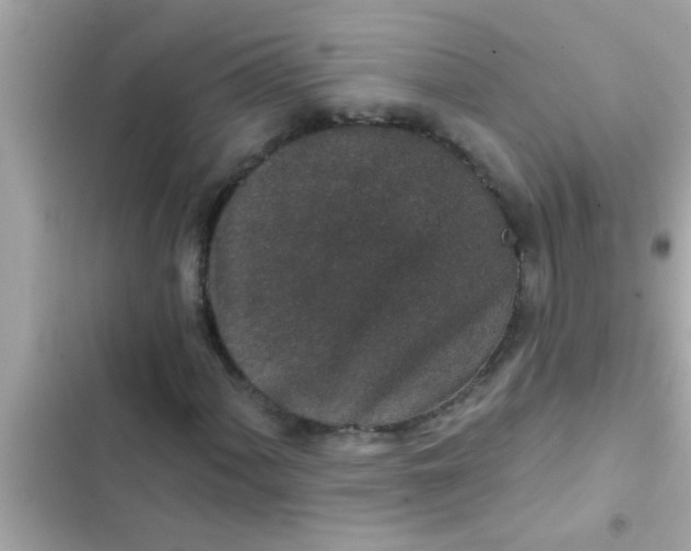 X0000102401060200808151938