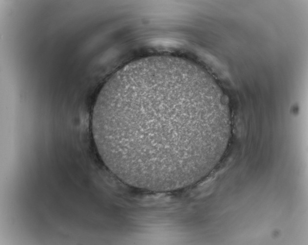 X0000102401061200808151938