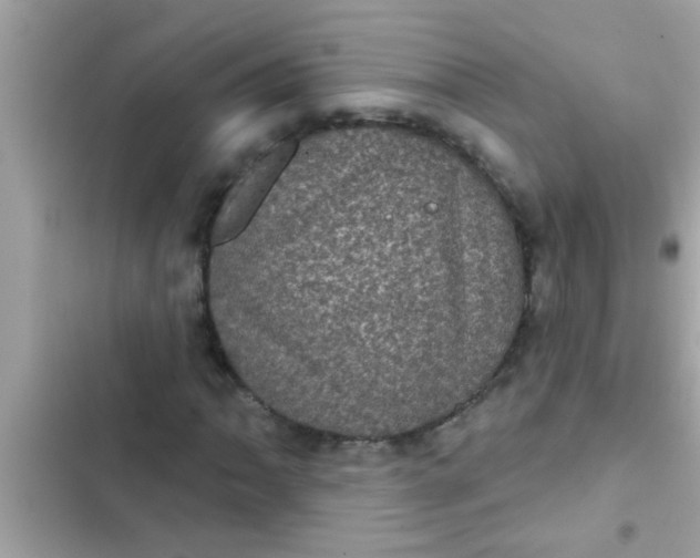 X0000102401062200808151938