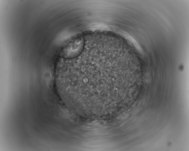 X0000102401063200808151938