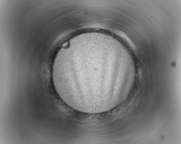 X0000102401064200808151938