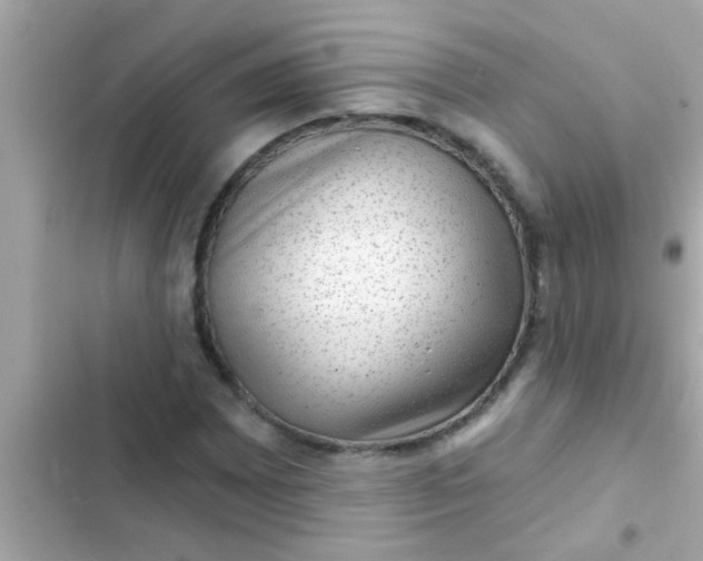 X0000102401065200808151938