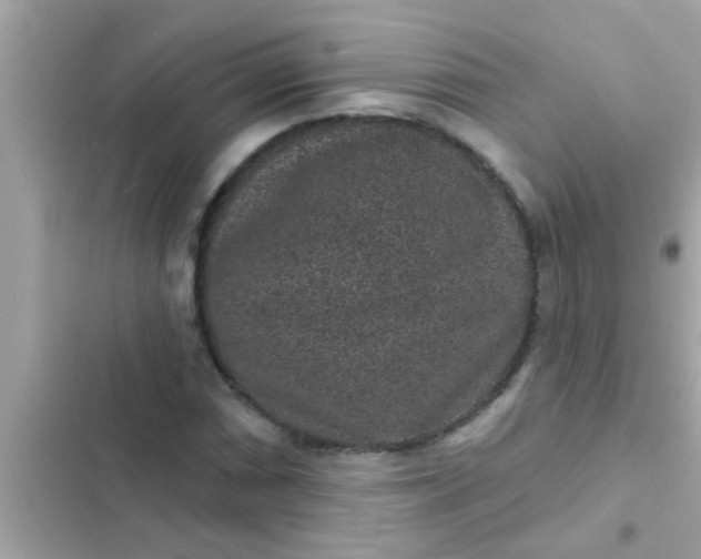 X0000102401066200808151938