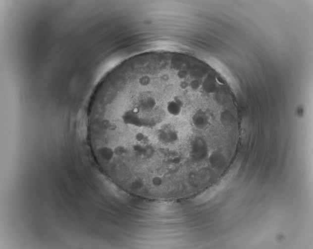 X0000102401067200808151938