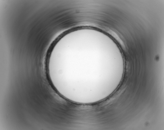 X0000102401068200808151938