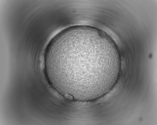 X0000102401069200808151938