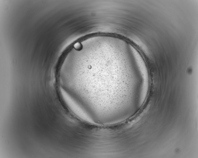 X0000102401070200808151938