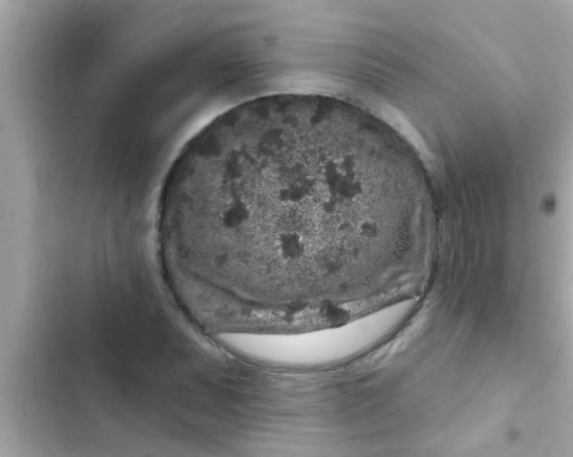 X0000102401071200808151938