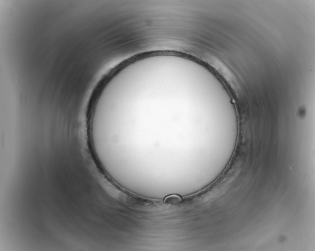 X0000102401072200808151938