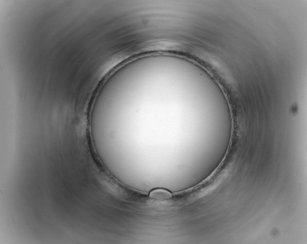 X0000102401073200808151938