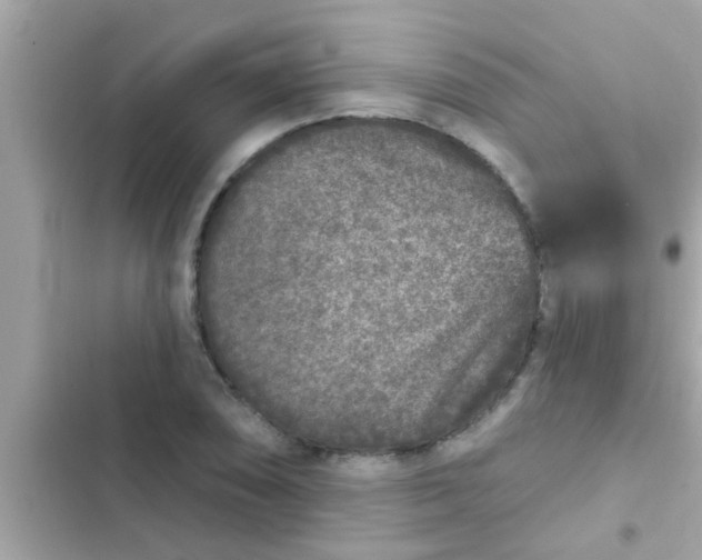 X0000102401074200808151938