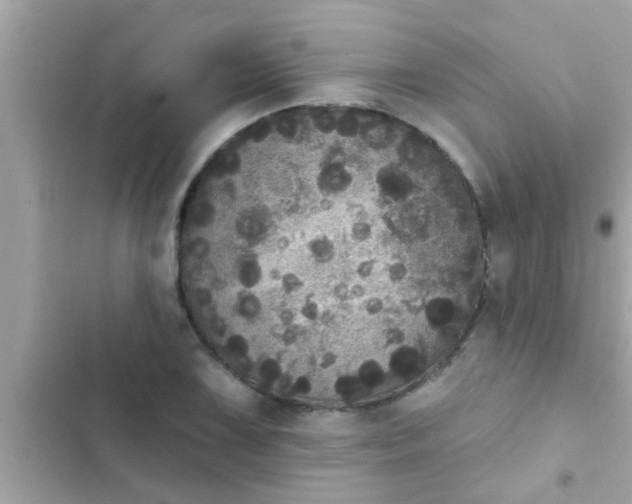 X0000102401075200808151938