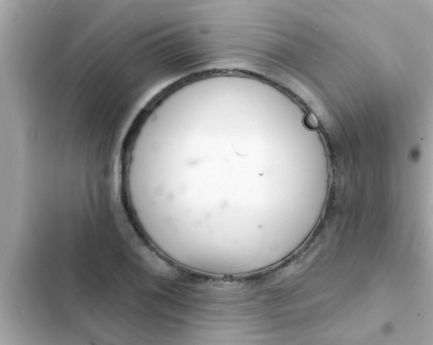 X0000102401076200808151938