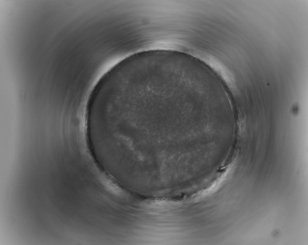 X0000102401077200808151938