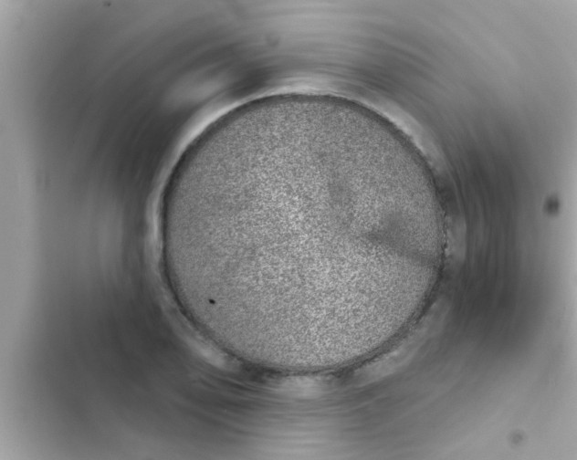 X0000102401078200808151938