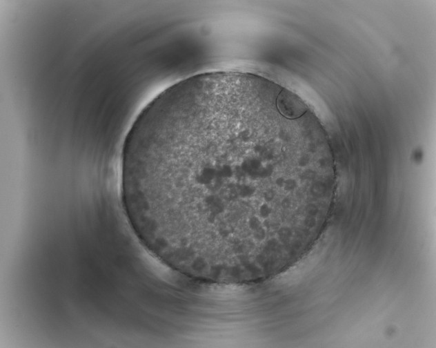 X0000102401079200808151938