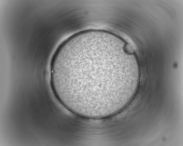 X0000102401080200808151938