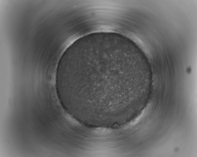 X0000102401081200808151938