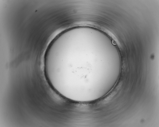 X0000102401082200808151938