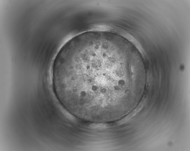 X0000102401083200808151938