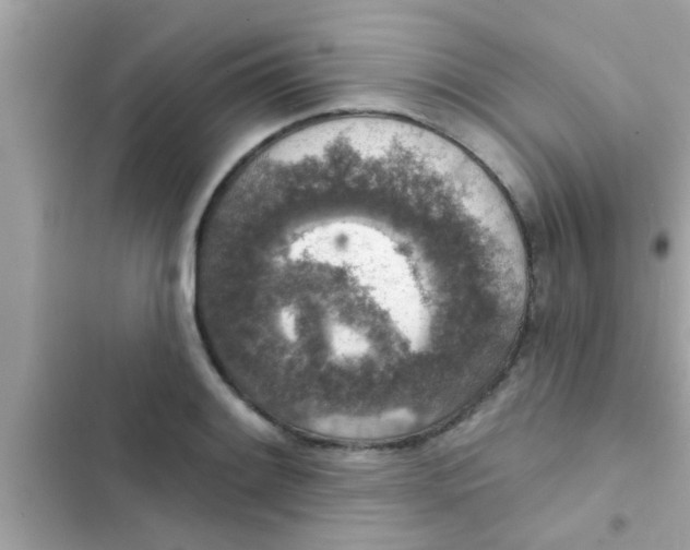 X0000102401084200808151938