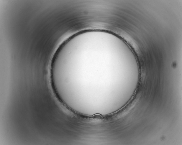 X0000102401085200808151938