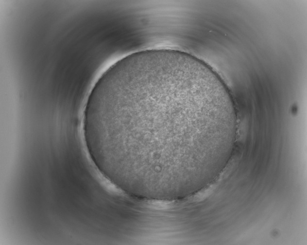 X0000102401086200808151938