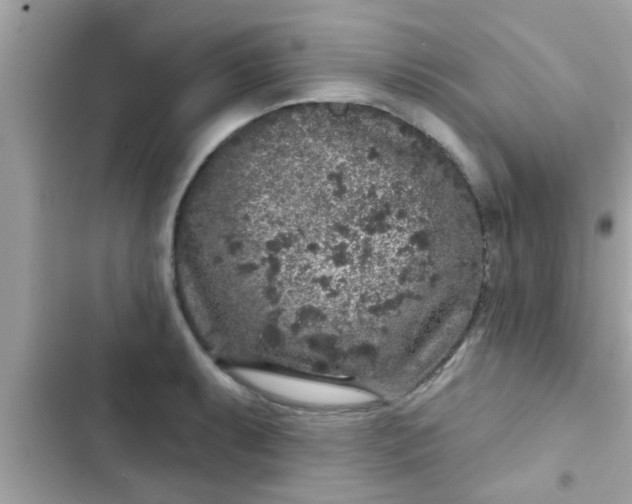 X0000102401087200808151938