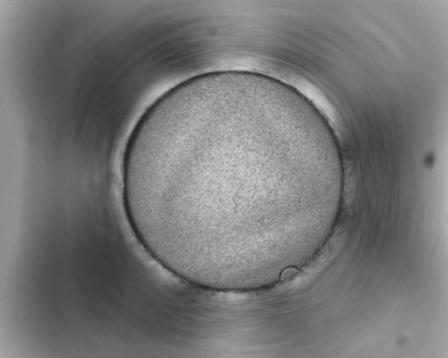 X0000102401088200808151938