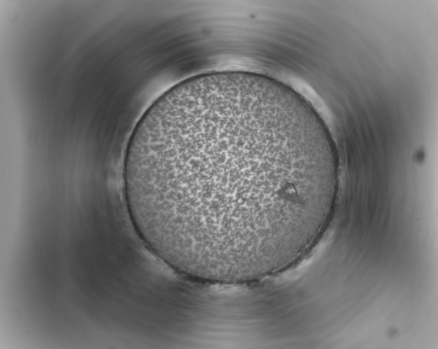 X0000102401089200808151937